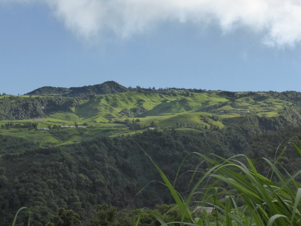 piton Mare à Boue, piton Découverte