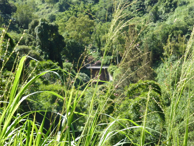 pont ravine des cafres