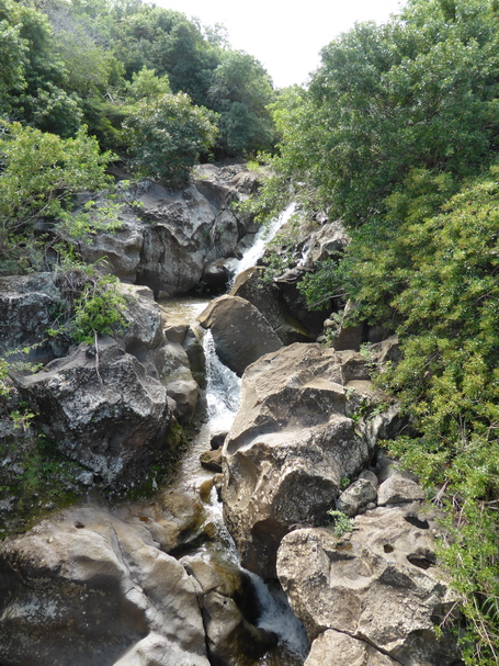 ravine de Petite île