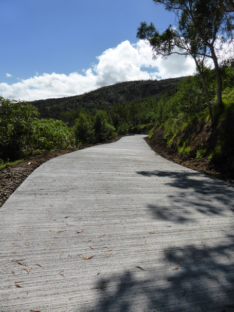 route forestière des Tamarins