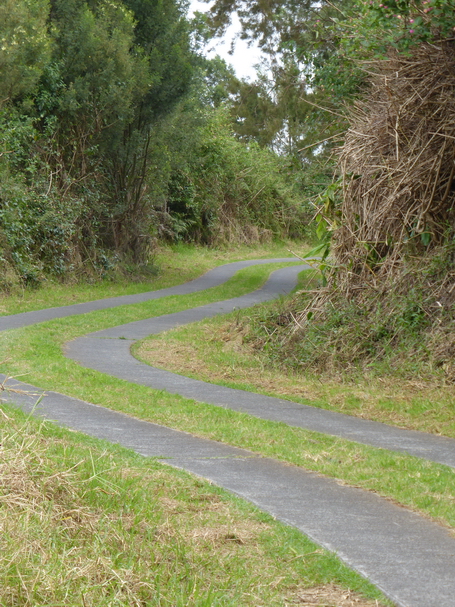 route forestière Timour