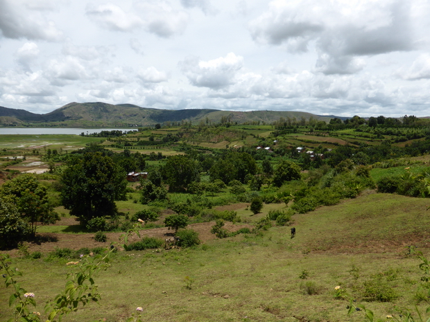 Villages Ankaditiahena et Ambohijanaka