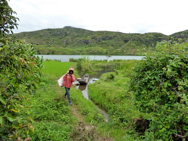 lac ilempo