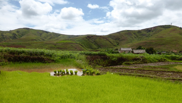 vallée de la Sahora : Village Sahora au pied du massif Tsaranonenana