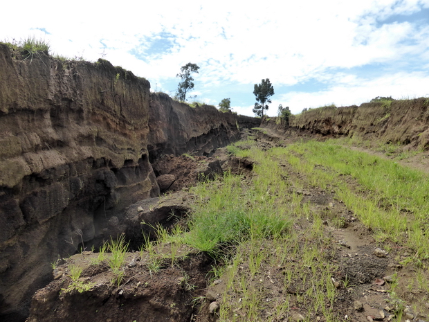 ravines vallée de Toerambazaha