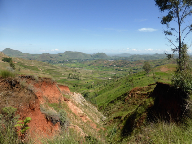 plaine d'Analavory Tsinjovary