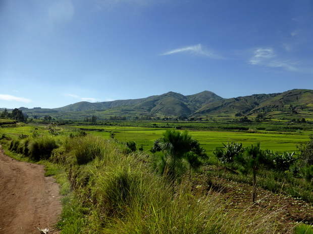 plaine du village Tsinjovary à l'horizon la chaine du massif Antasahamaina  1° sommet à gauche le sommet Akaroka notre objectif de ce matin