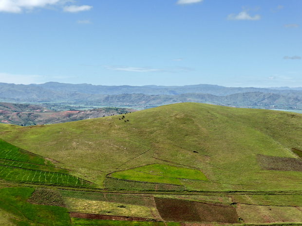 les rizières d'Ambatomena