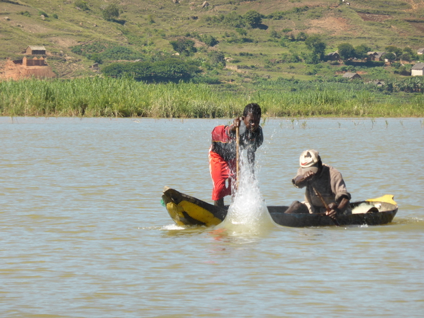 on frappe l'eau pour rassembler le poisson