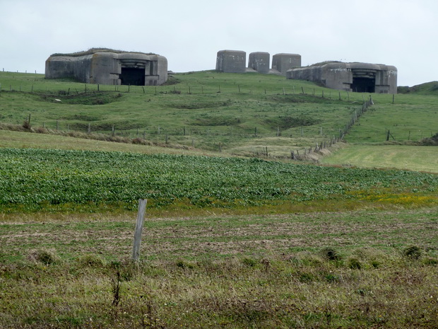 gris nez batterie Siegfried