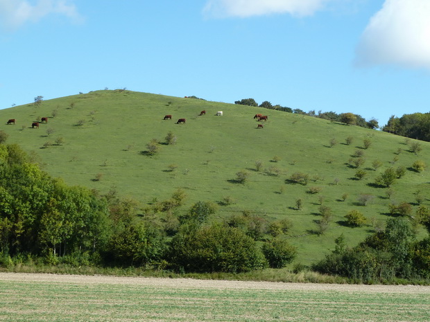 site de Guémy