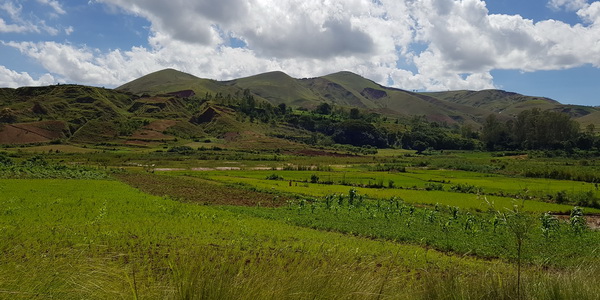 massif Ambohijafy