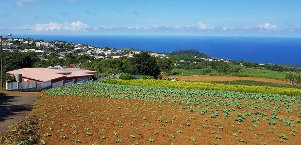 Chemin Terrain Bâche