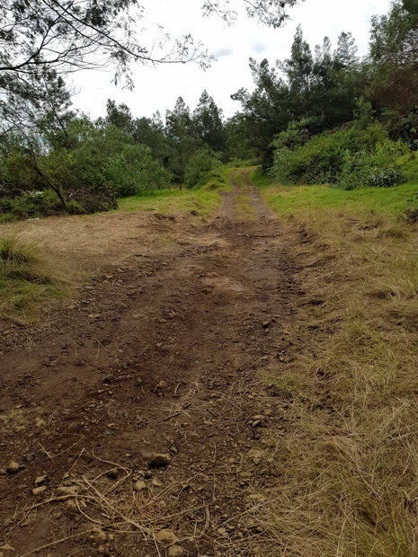 Chemin Mondon à travers les pâturages