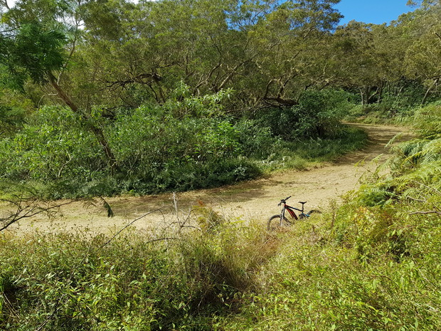 Route Forestière Omega