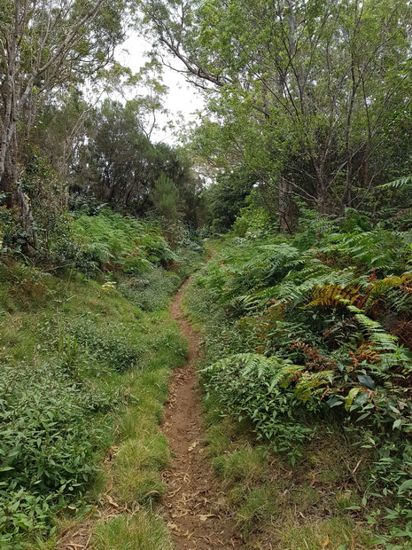 Ancien Sentier Lebreton