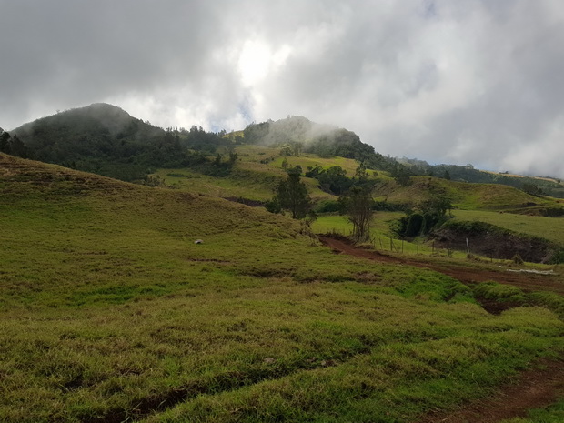 piton Mare à Boue