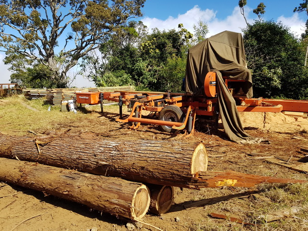 scierie : travail du bois sur place
