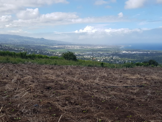 l'Etang Salé les Hauts St Louis