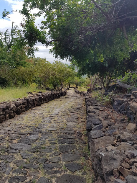 Chemin Pavé Bellemène