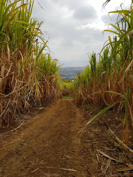 Hauts de la Plaine chemin Gonneau