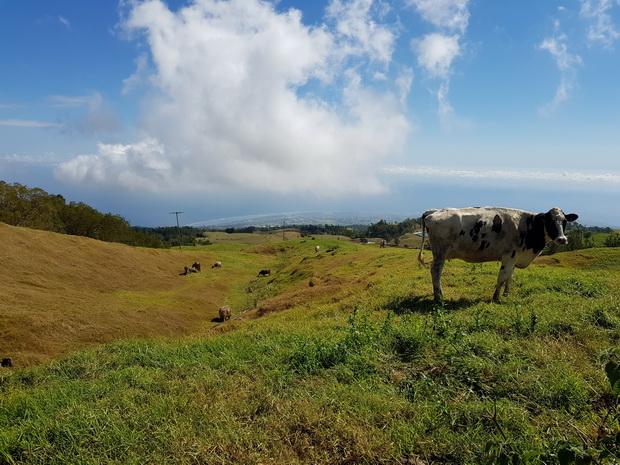 Lieu-dit : la Ferme