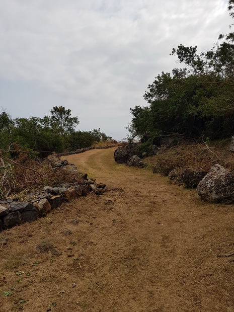 Chemin Charrette Boeuf