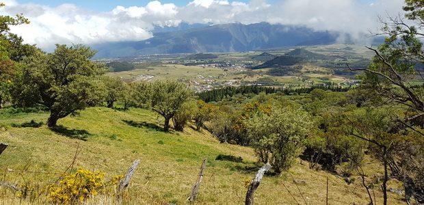 vue sur la Plaine des Cafres