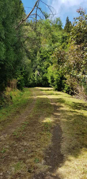 route forestière de la Grande Ferme