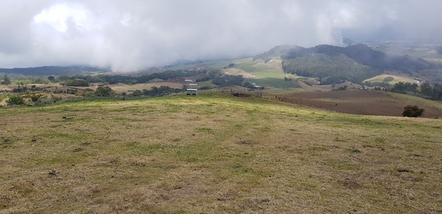 Descente à travers les pâturages