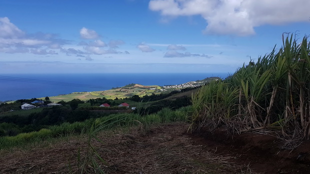 Piton du Calvaire