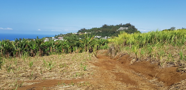 sentier de Petite-Île