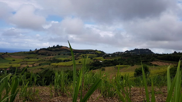 Piton Rosile et le Piton Calvaire