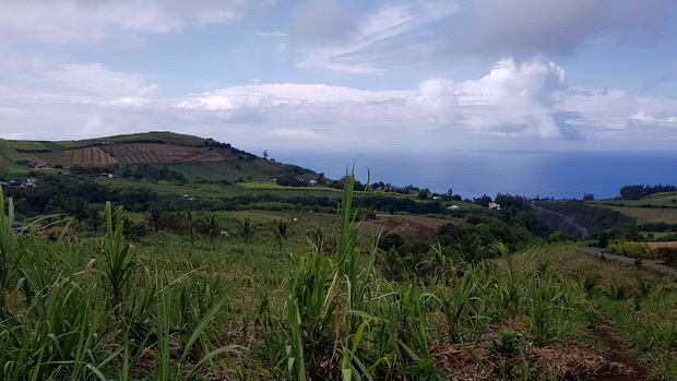 du Piton Manapany route de Manapany les Bains