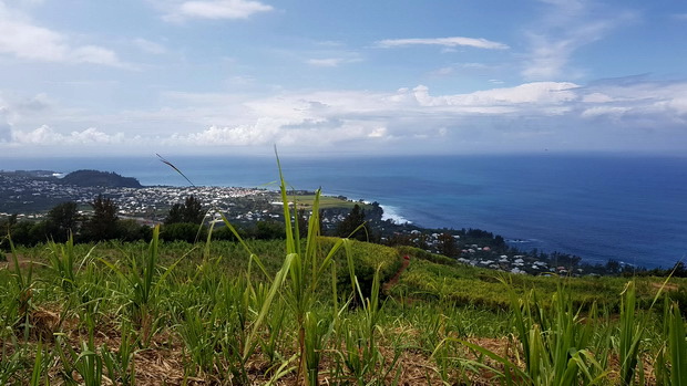 du Piton Manapany route de Manapany les Bains