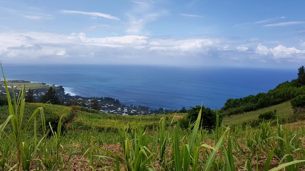 du Piton Manapany St Joseph Manapany les Bains