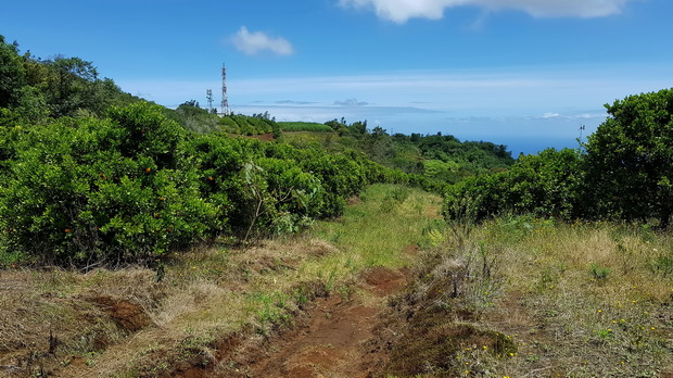 Piton du Relais