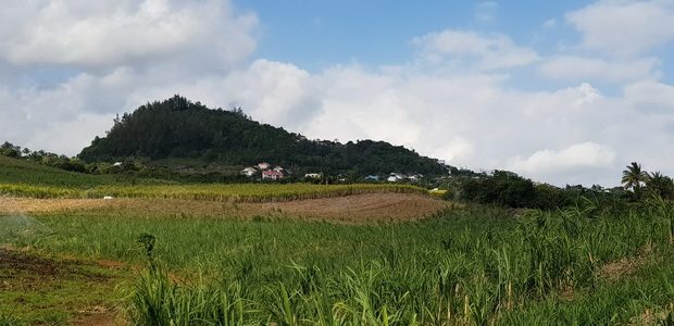 Ambohimanga réunionnais : Piton Calvaire