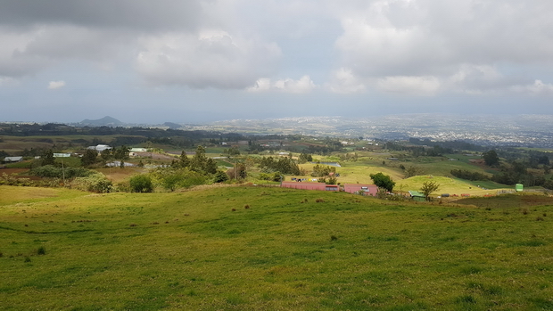 Pâturages dans les Hauts