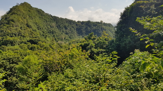 chemin de la Petite Crête