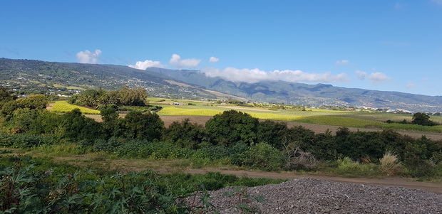 les hauts de Sainte Marie et Sainte Suzanne