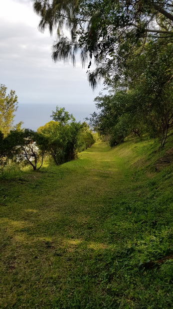 piste herbeuse du Piton