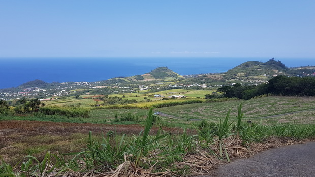 Piton Langevin et le Piton Papangue