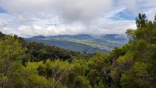 Plaine des Cafres