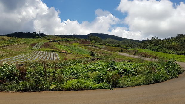 vers Piton Petit Serré