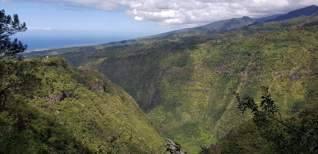 Bras de la Plaine