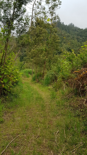 vers la ravine Petite-Île