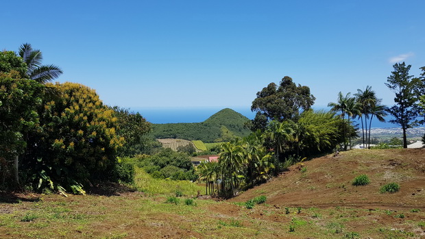 Piton de Mont Vert retour Mont Vert les Hauts