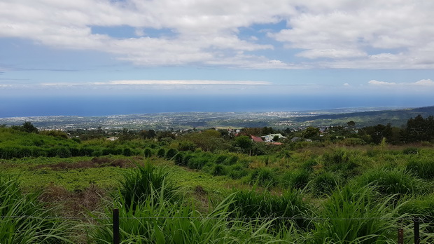 Côte entre St Pierre et St Louis