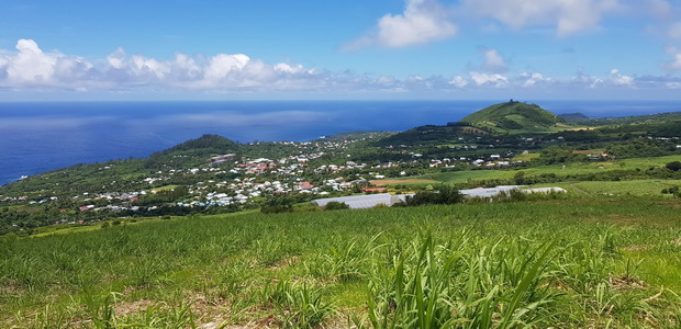 du chemin Vivendo, Piton Vicendo, Piton Bel-Air